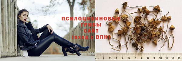 ешки Верхний Тагил