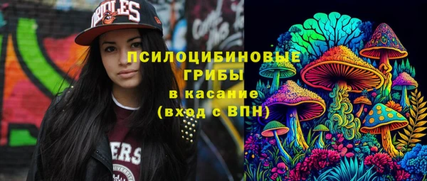 ешки Верхний Тагил