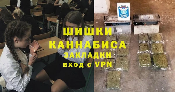 прущие грибы Верхнеуральск
