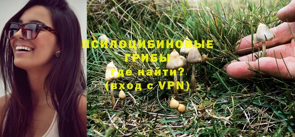 прущие грибы Верхнеуральск