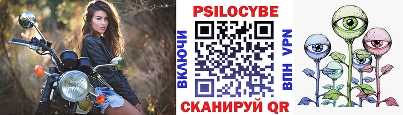 KRAKEN как зайти Гусиноозёрск Галлюциногенные грибы прущие грибы