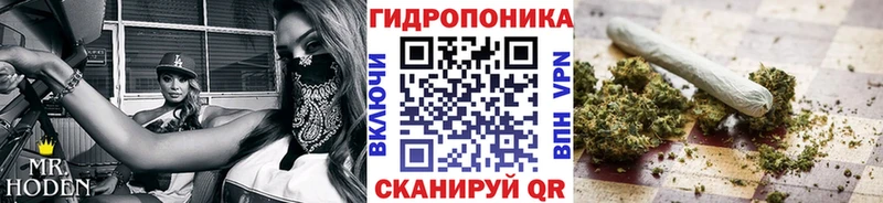МАРИХУАНА план Гусиноозёрск